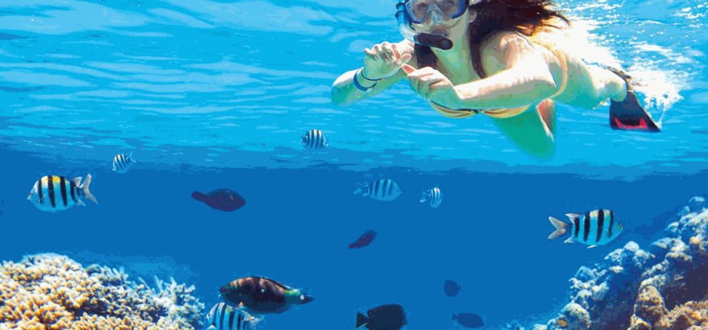 barriera corallina sharm o marsa alam
